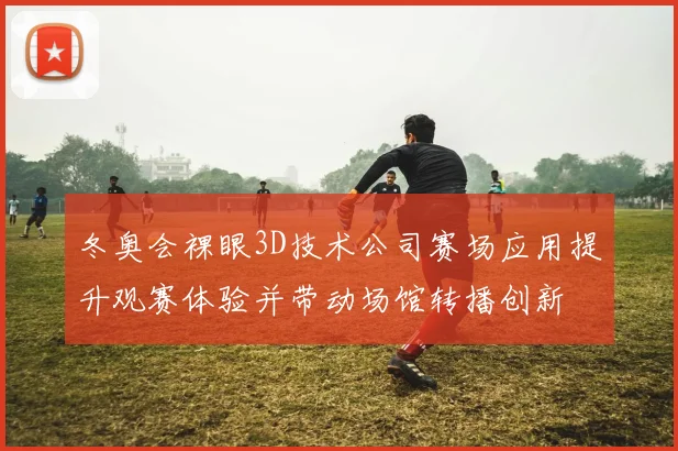 冬奥会裸眼3D技术公司赛场应用提升观赛体验并带动场馆转播创新