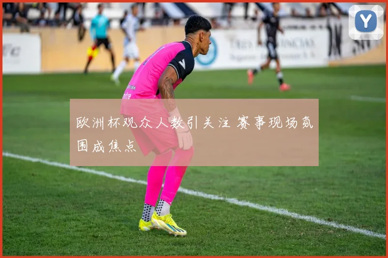 欧洲杯观众人数引关注 赛事现场氛围成焦点