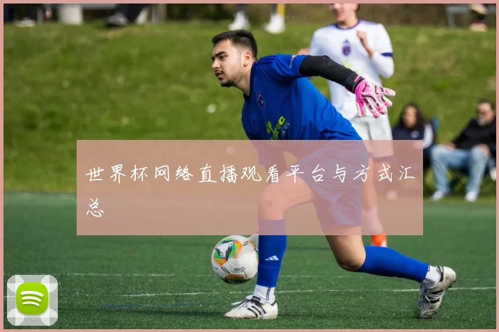 世界杯网络直播观看平台与方式汇总