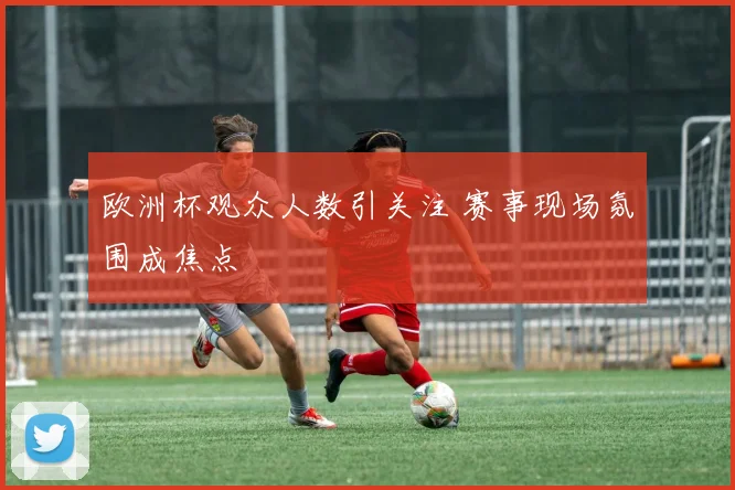 欧洲杯观众人数引关注 赛事现场氛围成焦点